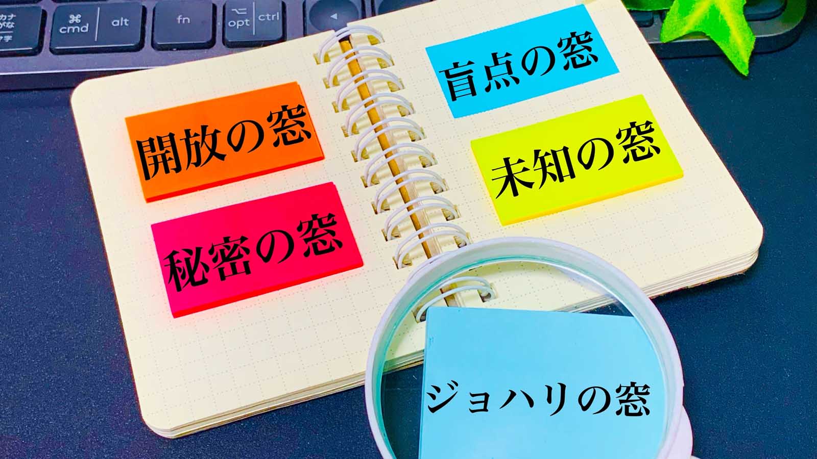 ジョハリの窓を活用した自己開発とチームビルディングの秘訣