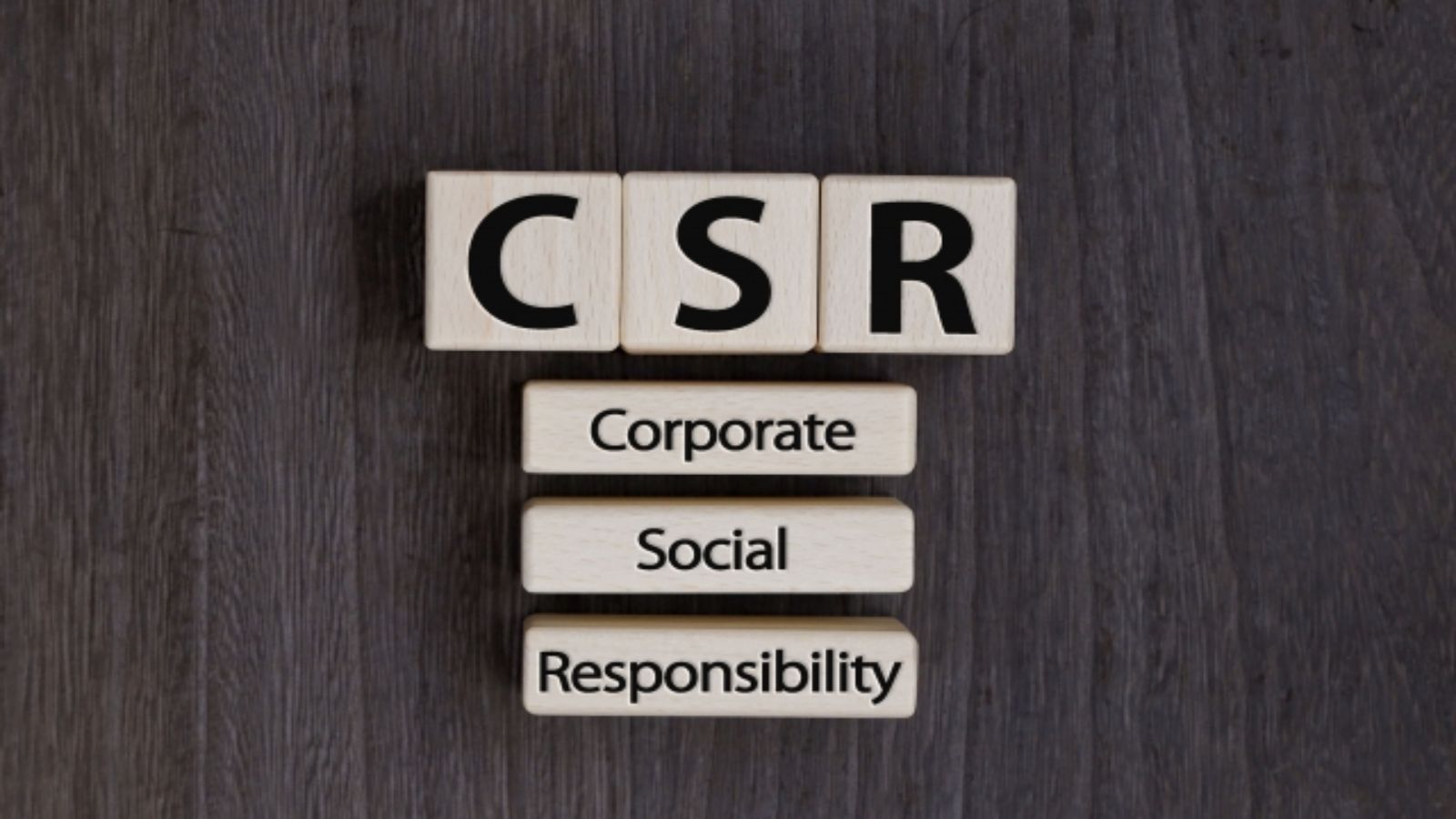 CSR の全貌:定義、実践、課題と未来への展望
